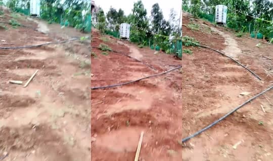 linhku20's Live Session — Apr 19, 2026, 11:03 AM